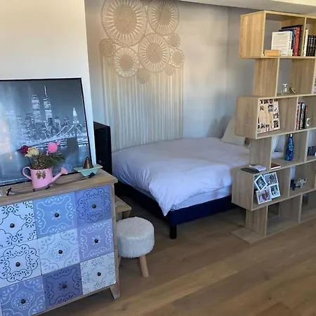 Maison Piscine Parfait Pour Les Jo A Marseille